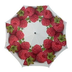Fruit-healthy-vitamin-vegan Golf Umbrellas by Ket1n9