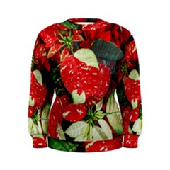 Poinsettia Christmas Star Plant Women s Sweatshirt by Sarkoni