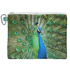 Peafowl Peacock Canvas Cosmetic Bag (xxl) by Sarkoni