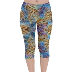 Orange Leopard Print Sky Blue Stretch Velvet Capri Leggings  by CoolDesigns