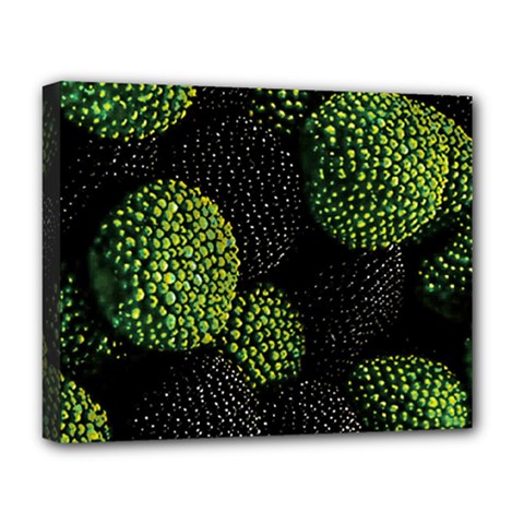 Berry,note, Green, Raspberries Deluxe Canvas 20  X 16  (stretched) by nateshop