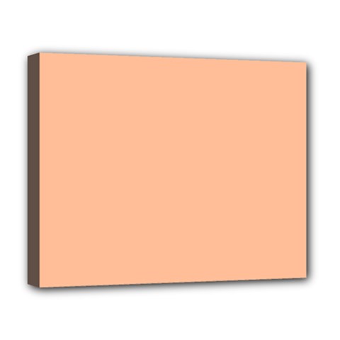 Peach Fuzz 2024 Deluxe Canvas 20  X 16  (stretched) by dressshop