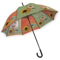 Hook Handle Umbrellas (Medium) Icon