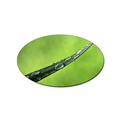 Green Drops Sticker 10 Pack (oval) by Siebenhuehner