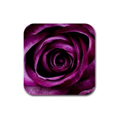 Deep Purple Rose Drink Coasters 4 Pack (square) by Colorfulart23