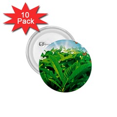 Nature Day 1 75  Button (10 Pack) by dflcprints