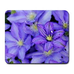 Purple Wildflowers For Fms Large Mouse Pad (rectangle) by FunWithFibro