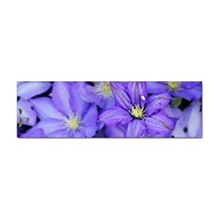 Purple Wildflowers For Fms Bumper Sticker by FunWithFibro