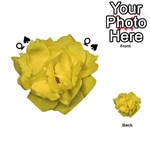 Isolated Yellow Rose Photo Playing Cards 54 (Heart)  Front - SpadeQ