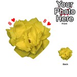 Isolated Yellow Rose Photo Playing Cards 54 (Heart)  Front - Heart8