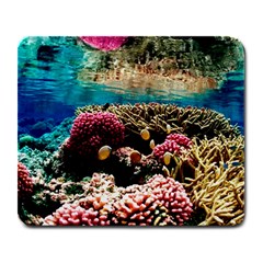 Coral Reefs 1 Large Mousepads by trendistuff