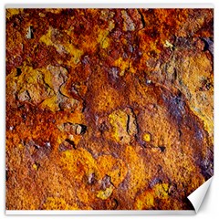 Rusted Metal Surface Canvas 20  X 20   by igorsin