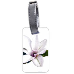 Magnolia Wit Aquarel Painting Art Luggage Tags (one Side)  by picsaspassion