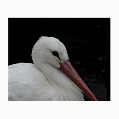 Wild Stork Bird Small Glasses Cloth (2-side) by picsaspassion