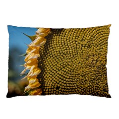 Sunflower Bright Close Up Color Disk Florets Pillow Case by Amaryn4rt
