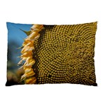 Sunflower Bright Close Up Color Disk Florets Pillow Case 26.62 x18.9  Pillow Case