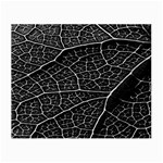 Leaf Pattern  B&w Small Glasses Cloth (2-Side) Front