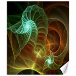 Art Shell Spirals Texture Canvas 8  x 10  8.15 x9.66  Canvas - 1