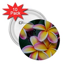 Premier Mix Flower 2 25  Buttons (10 Pack)  by alohaA