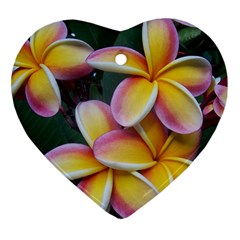 Premier Mix Flower Heart Ornament (two Sides) by alohaA