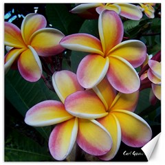 Premier Mix Flower Canvas 16  X 16   by alohaA