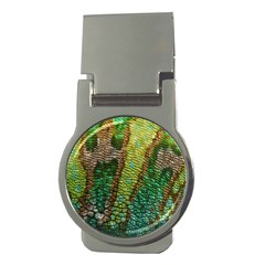 Colorful Chameleon Skin Texture Money Clips (round)  by Simbadda
