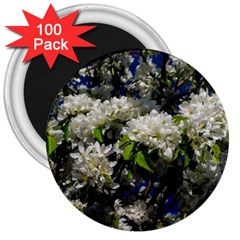 Floral Skies 2 3  Magnets (100 Pack) by dawnsiegler