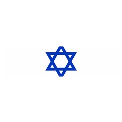 Flag Of Israel Satin Scarf (oblong) by abbeyz71