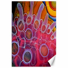 Micro Macro Belle Fisher Nature Stone Canvas 20  X 30   by Mariart
