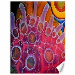 Micro Macro Belle Fisher Nature Stone Canvas 36  X 48   by Mariart