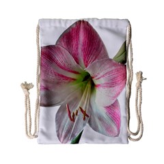 Flower Blossom Bloom Amaryllis Drawstring Bag (small) by Nexatart