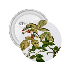 Berries Berry Food Fruit Herbal 2 25  Buttons by Nexatart