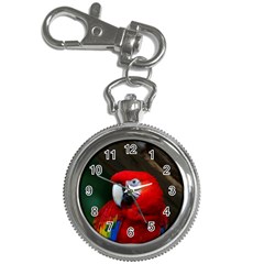 Scarlet Macaw Bird Key Chain Watches by BangZart