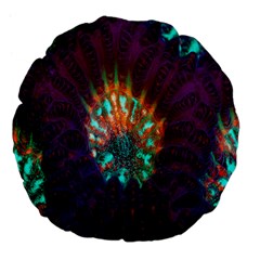 Live Green Brain Goniastrea Underwater Corals Consist Small Large 18  Premium Flano Round Cushions by Mariart