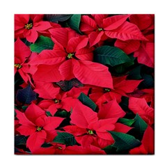 Red Poinsettia Flower Face Towel by Mariart