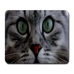 Cat Face Eyes Gray Fluffy Cute Animals Large Mousepads by Mariart