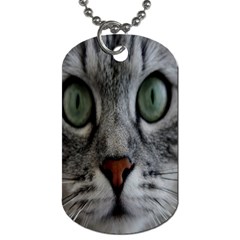 Cat Face Eyes Gray Fluffy Cute Animals Dog Tag (two Sides) by Mariart