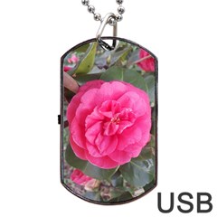 Pink Flower Japanese Tea Rose Floral Design Dog Tag Usb Flash (two Sides) by yoursparklingshop