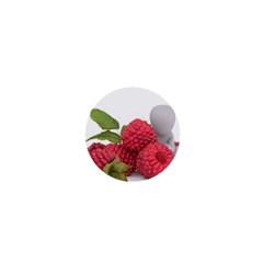 Fruit Healthy Vitamin Vegan 1  Mini Magnets by BangZart