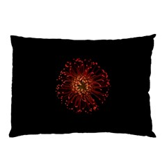 Red Flower Blooming In The Dark Pillow Case by Sapixe
