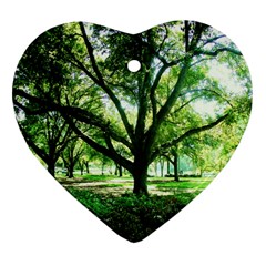 Highland Park 14 Heart Ornament (two Sides) by bestdesignintheworld