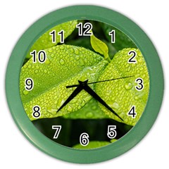 Leaf Green Foliage Green Leaves Color Wall Clocks by Simbadda