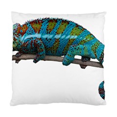 Reptile Lizard Animal Isolated Standard Cushion Case (one Side) by Sapixe