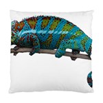 Reptile Lizard Animal Isolated Standard Cushion Case (One Side) Front