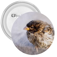Funny Wet Sparrow Bird 3  Buttons by FunnyCow