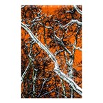 Red Night Of Winter Shower Curtain 48  x 72  (Small)  Curtain(48  X 72 ) - 42.18 x64.8  Curtain(48  X 72 )