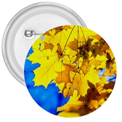 Yellow Maple Leaves 3  Buttons by FunnyCow