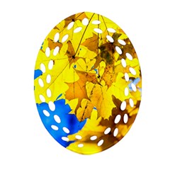 Yellow Maple Leaves Ornament (oval Filigree) by FunnyCow