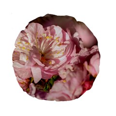 Beautiful Flowering Almond Standard 15  Premium Round Cushions by FunnyCow