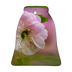 Single Almond Flower Ornament (bell) by FunnyCow